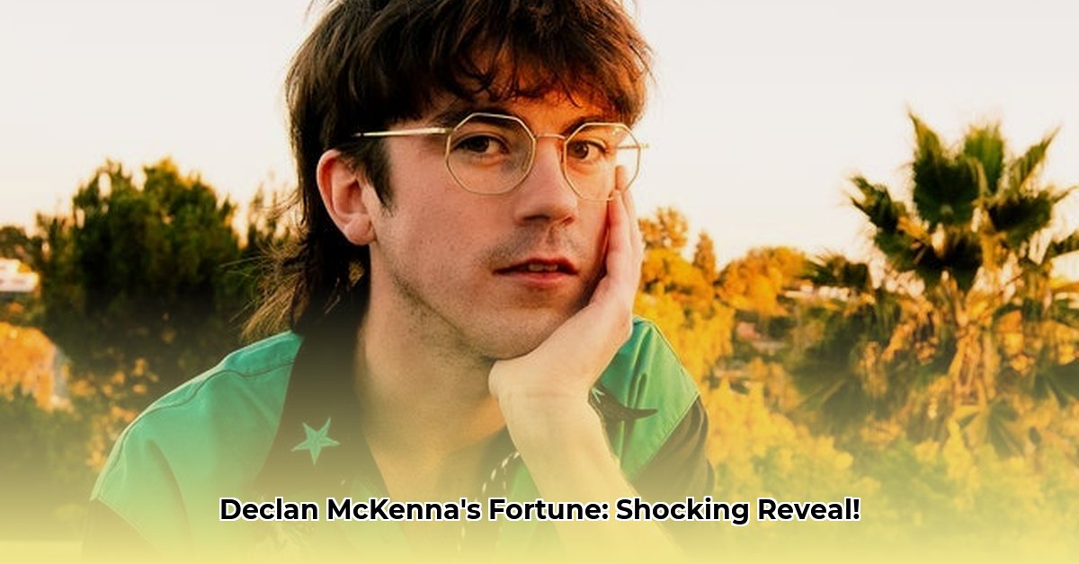declan-mckenna-net-worth